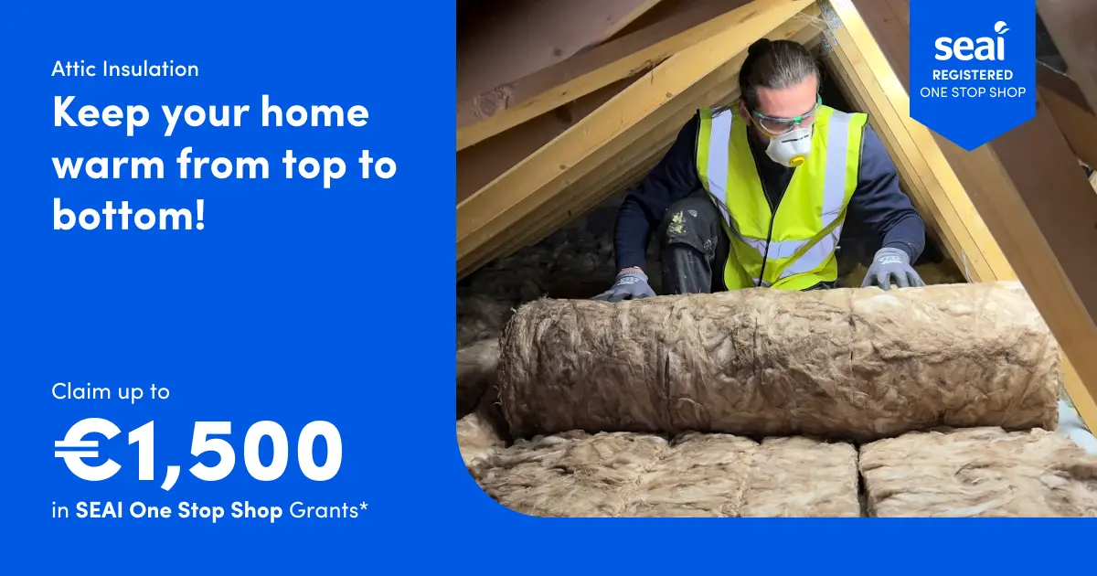 Best Attic Insulation Services - Get SEAI Insulation Grants - Absolute Need Attic Insulation Grants And Procedures Cheapest